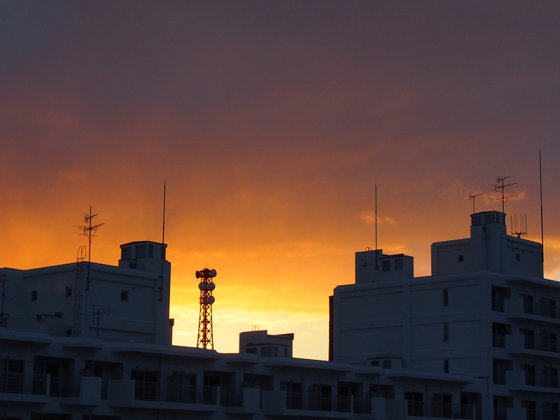c0183777_20141536.jpg