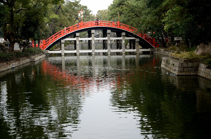 f0108478_21227.jpg