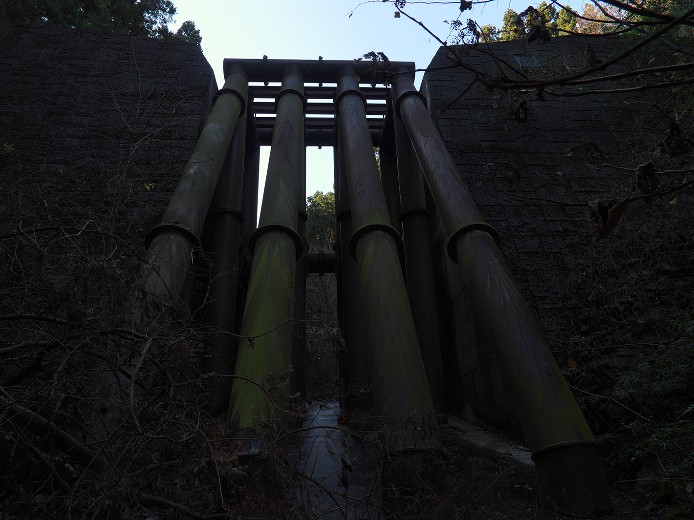 f0121181_5312897.jpg