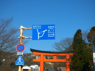 2016年1月9日 逆光だけど_b0098584_11294434.jpg
