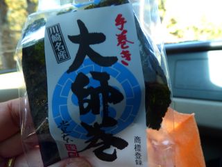 2016年1月9日 逆光だけど_b0098584_1130164.jpg