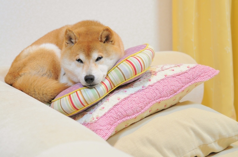 ニックネーム_a0126590_15554053.jpg