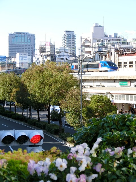 d0181492_22212491.jpg