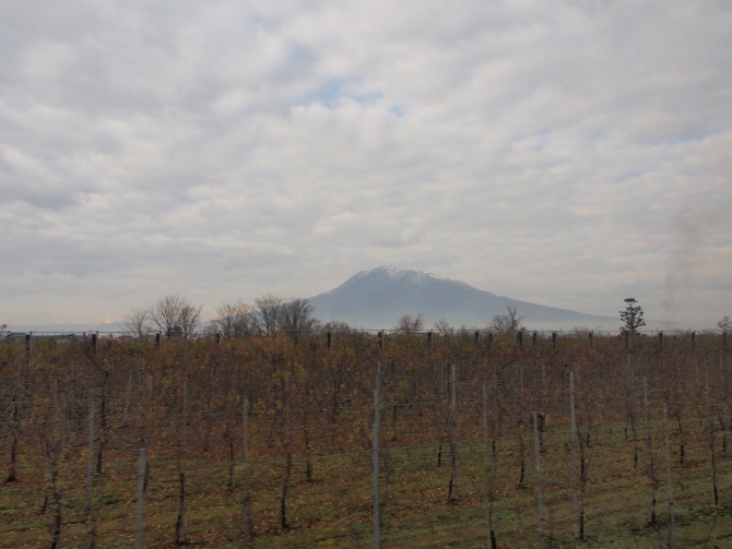 f0231393_1614937.jpg