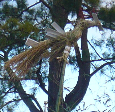 c0024502_2165215.jpg