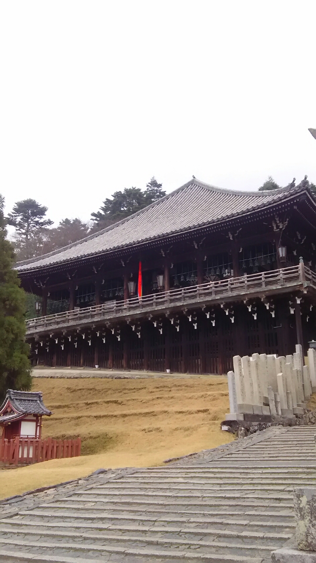 新年おめでとうございます_c0125702_21293779.jpg