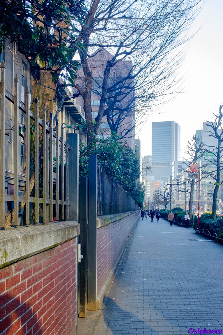 2016年1月9日　FUJIFILM X100T_a0060403_9245134.jpg