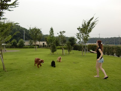 a0134004_20471285.jpg