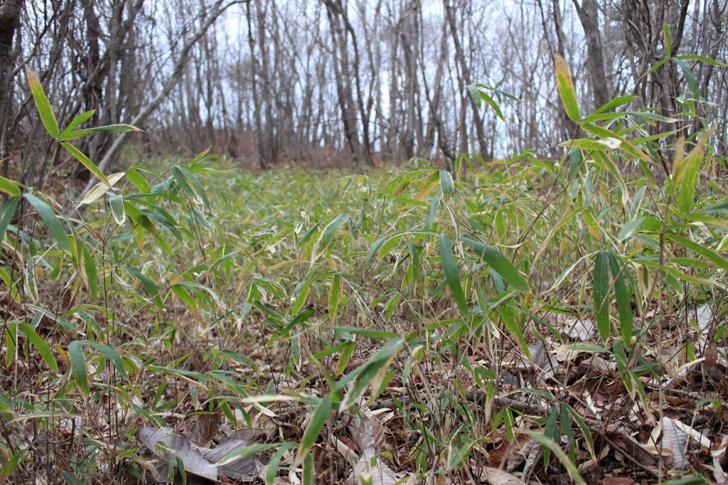 b0050305_18314511.jpg