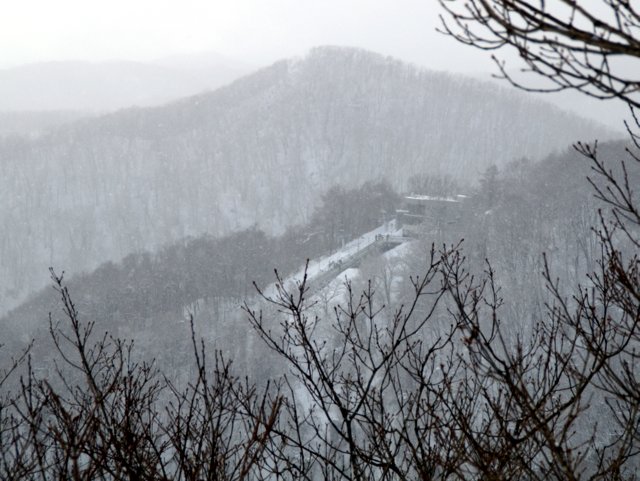 a0345007_17113876.jpg