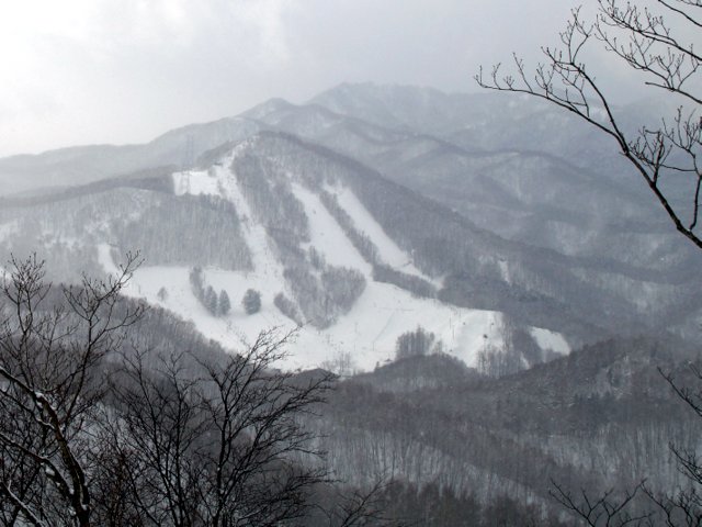 a0345007_17204544.jpg