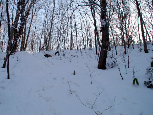 a0345007_1771737.jpg