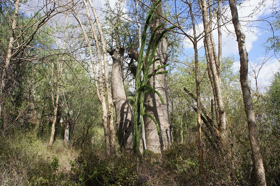 b0112909_15512440.jpg