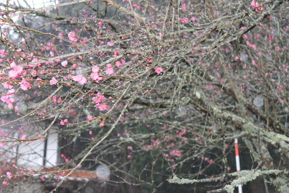b0281312_15321827.jpg