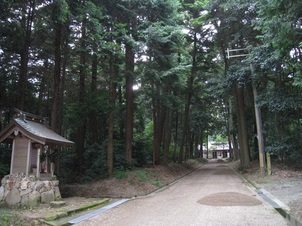 d0287413_1055542.jpg