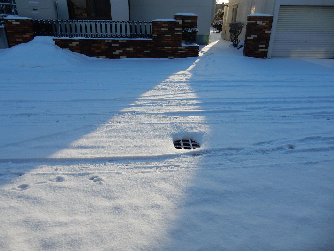 c0025115_20581713.jpg