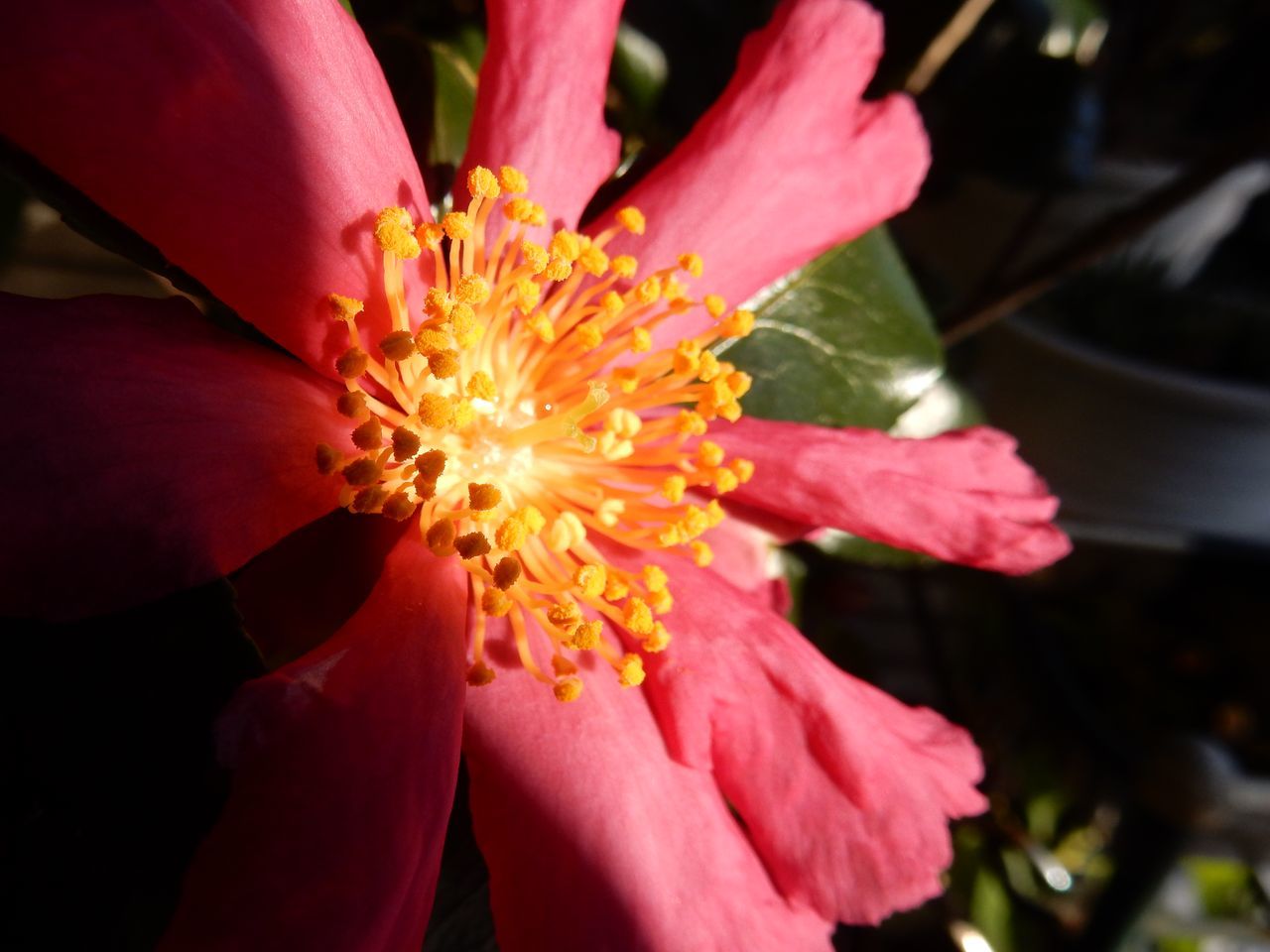 c0025115_20582922.jpg
