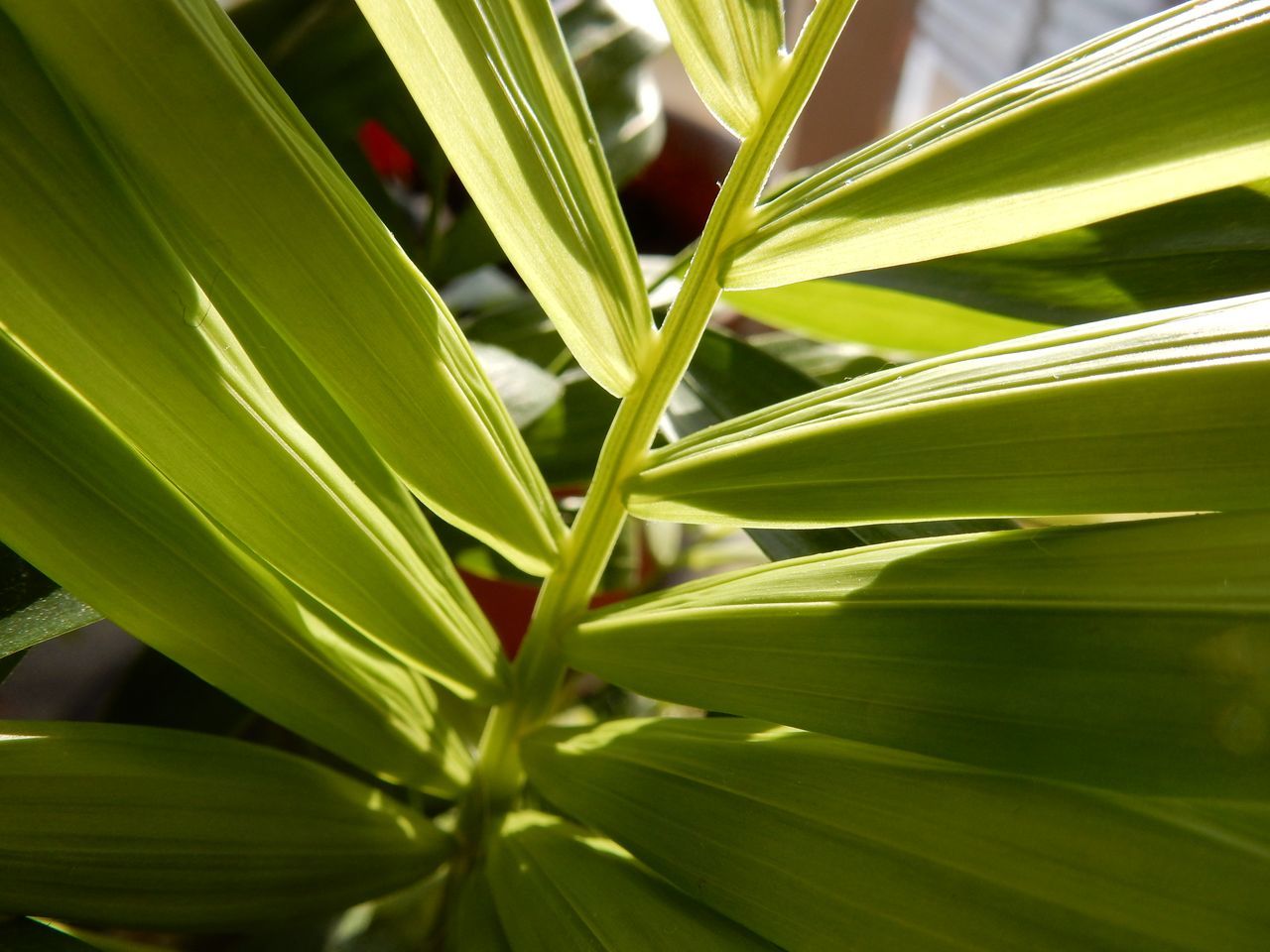 c0025115_20583828.jpg