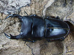 c0346119_23181180.jpg