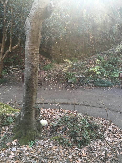 e0172219_21052130.jpeg