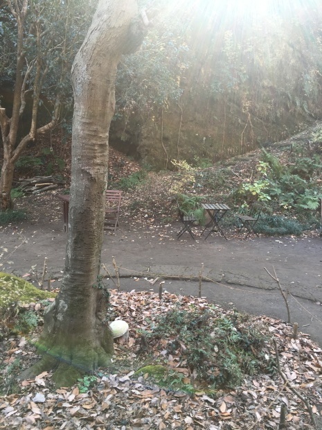e0172219_21434363.jpeg