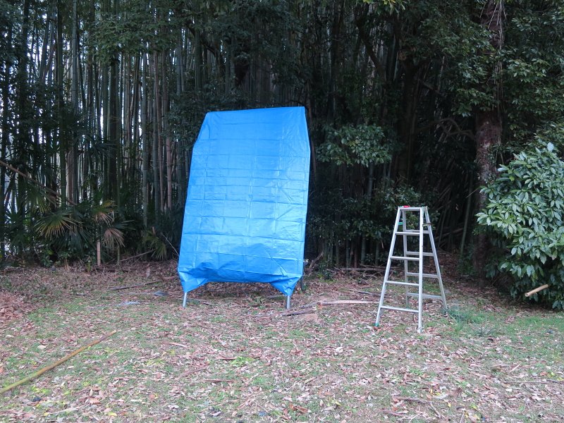 f0031423_17101072.jpg