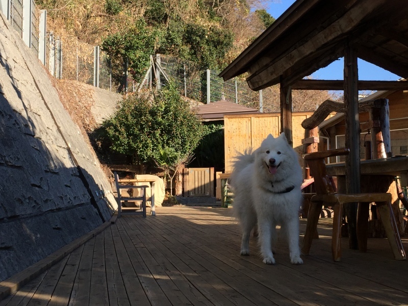 f0234023_05512143.jpeg