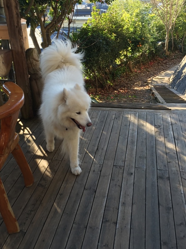 f0234023_05513778.jpeg