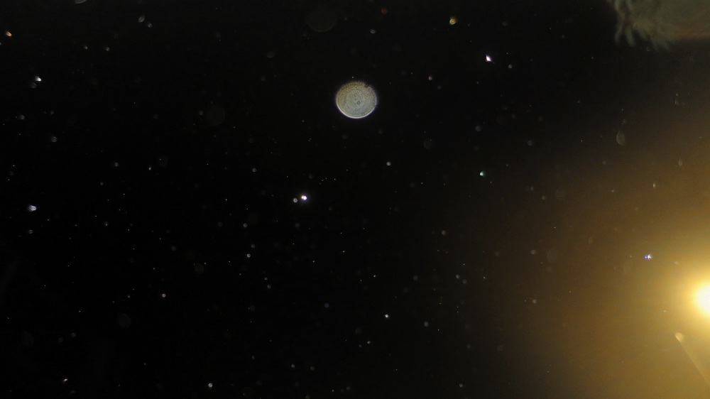 c0331825_14403359.jpg
