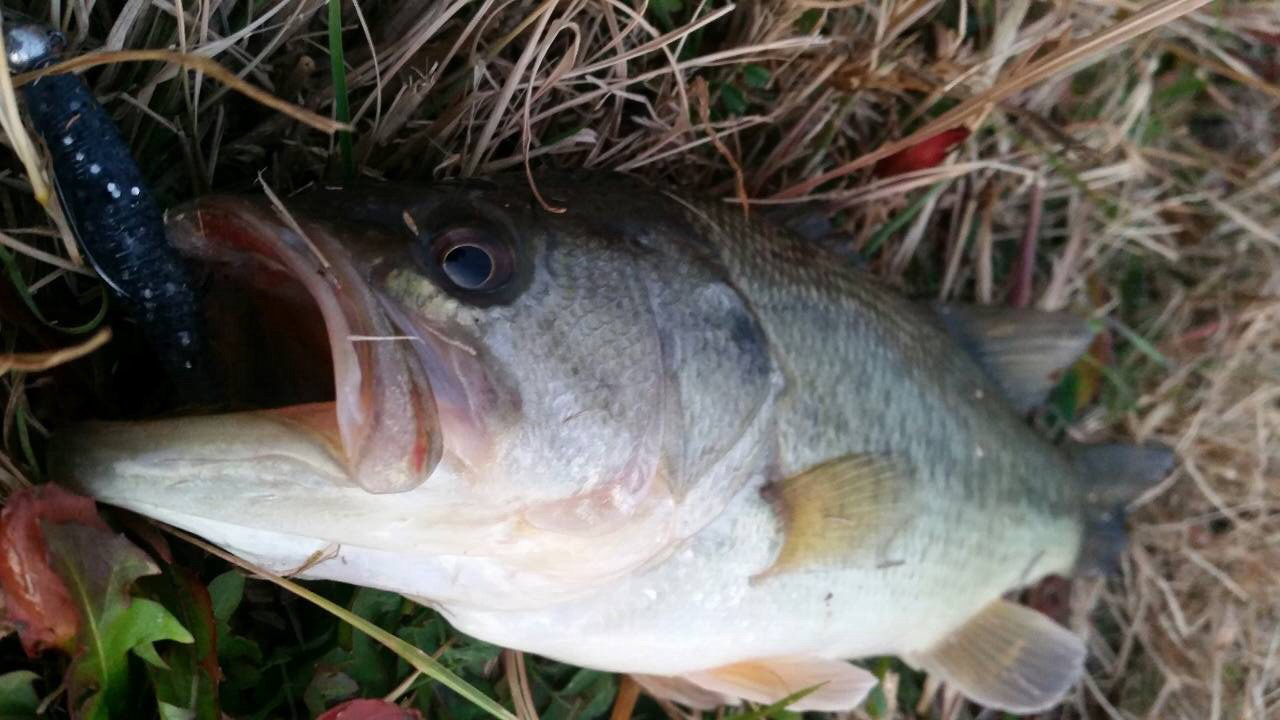 c0204027_22414231.jpg