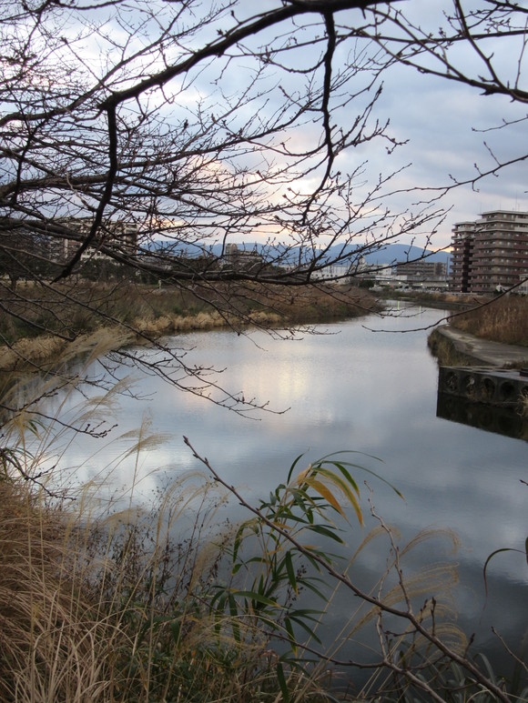 b0014732_824281.jpg