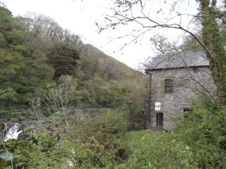 e0074833_1581159.jpg