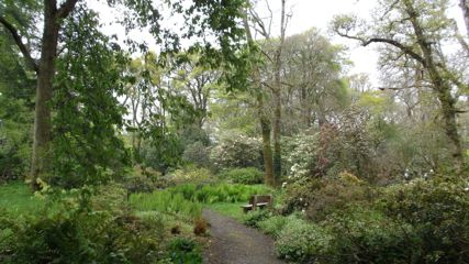 e0074833_17361775.jpg