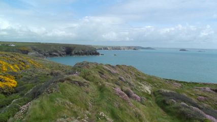 e0074833_209349.jpg