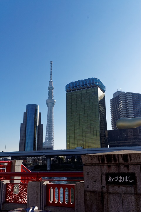 スカイツリーの見える風景　その１_f0274536_2393860.jpg