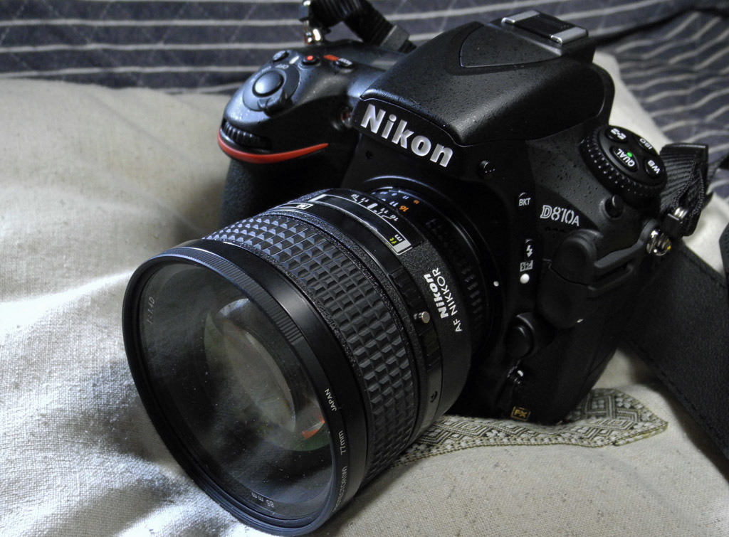 D810AとASI174MC－COOLの比較_f0346040_02372794.jpg