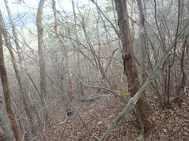 f0334143_1824013.jpg