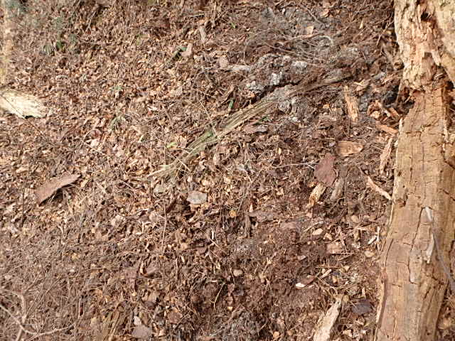 f0334143_18242273.jpg
