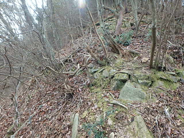 f0334143_18242864.jpg