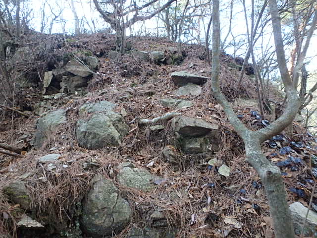 f0334143_18264131.jpg