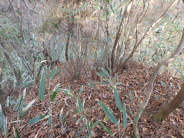 f0334143_1827633.jpg