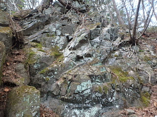 f0334143_18294758.jpg