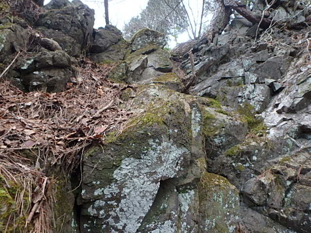 f0334143_1829583.jpg
