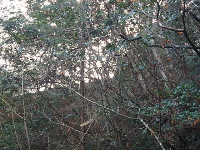 f0334143_18342085.jpg
