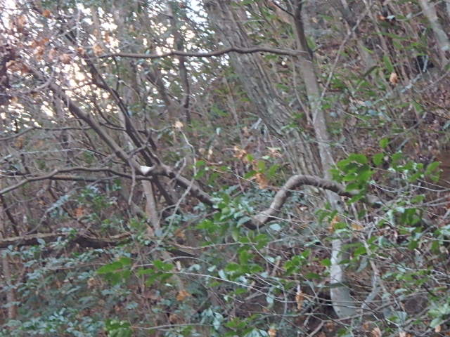 f0334143_18343535.jpg