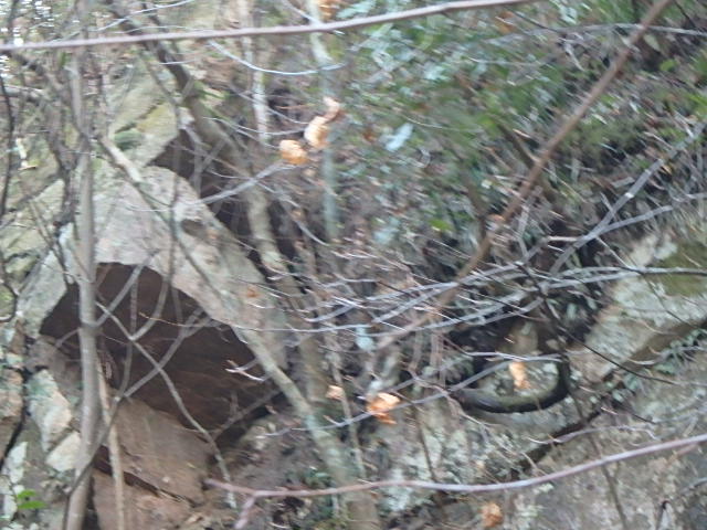 f0334143_18345286.jpg