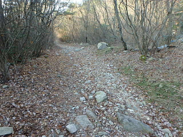 f0334143_1835521.jpg