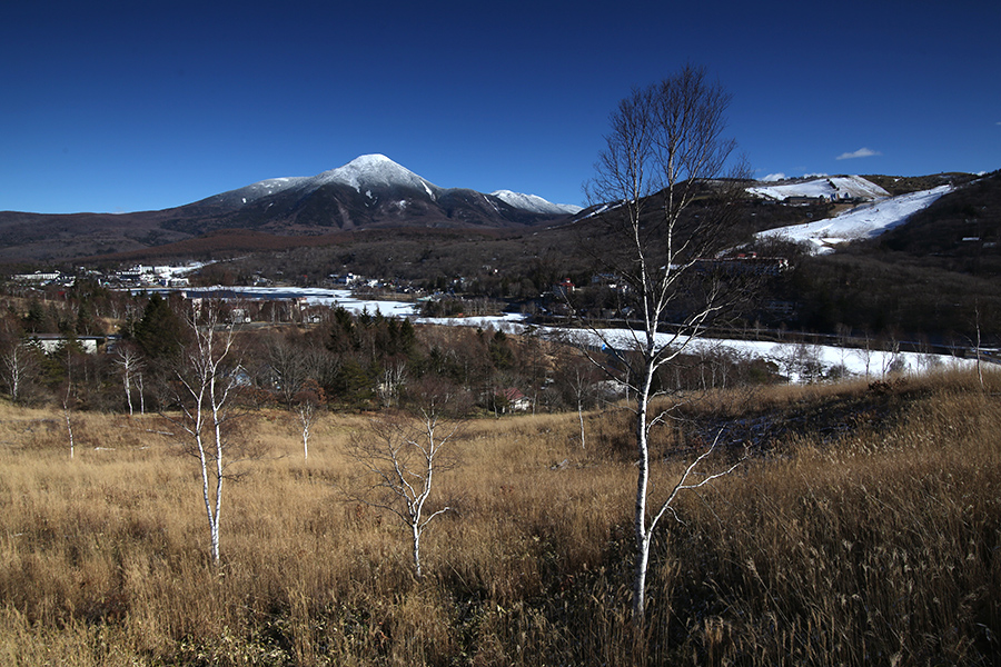 c0035245_1125087.jpg