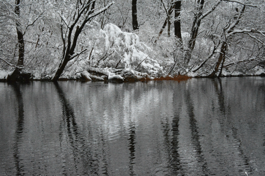 c0093046_1713588.gif