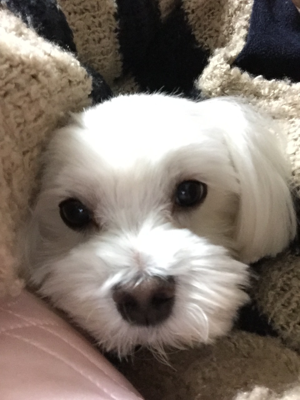 c0342854_01073065.jpeg